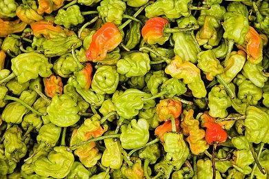 儿童动画改编《小恐龙大冒险卡丁车》2月17日发售